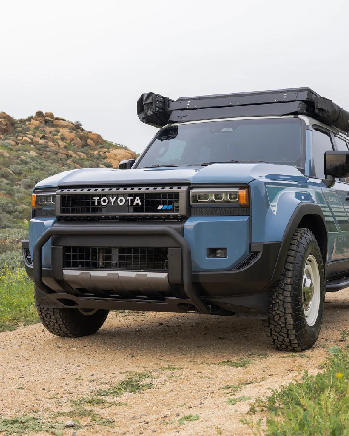 DV8 Offroad Brush Guard for Land Cruiser 250 Series (2024–Present)