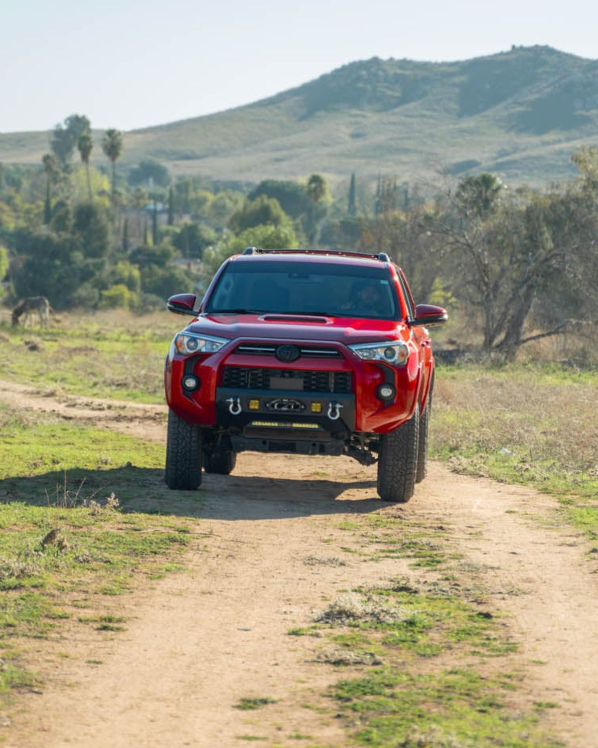 DV8 Offroad Centric Series Front Bumper for 5th-Gen 4Runner (2010–2024)