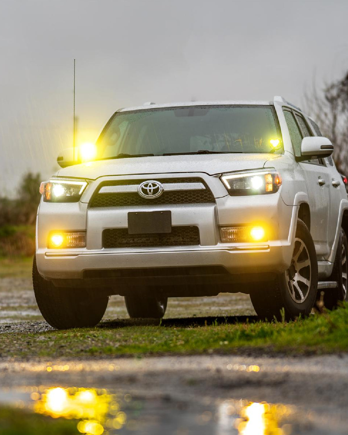 Morimoto 4Banger 2.0 NCS LED Fog Light Kit with SAE Wide Beam Pattern and Yellow Lens for 5th-Gen 4Runner (2010–2024)