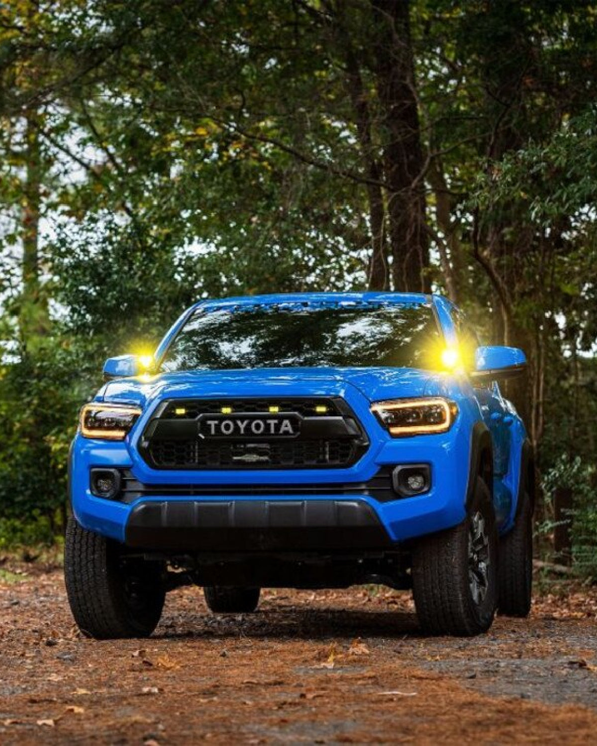 Morimoto Ditch Light Mounting Brackets for 3rd-Gen Tacoma (2016–2023) - Pair