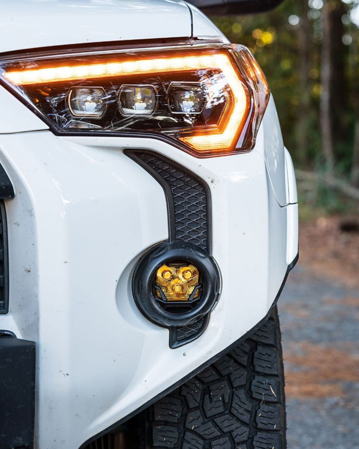 Morimoto 4Banger 2.0 HXB LED Fog Light Kit with SAE Wide Beam Pattern and Yellow Lens for 5th-Gen 4Runner (2010–2024)