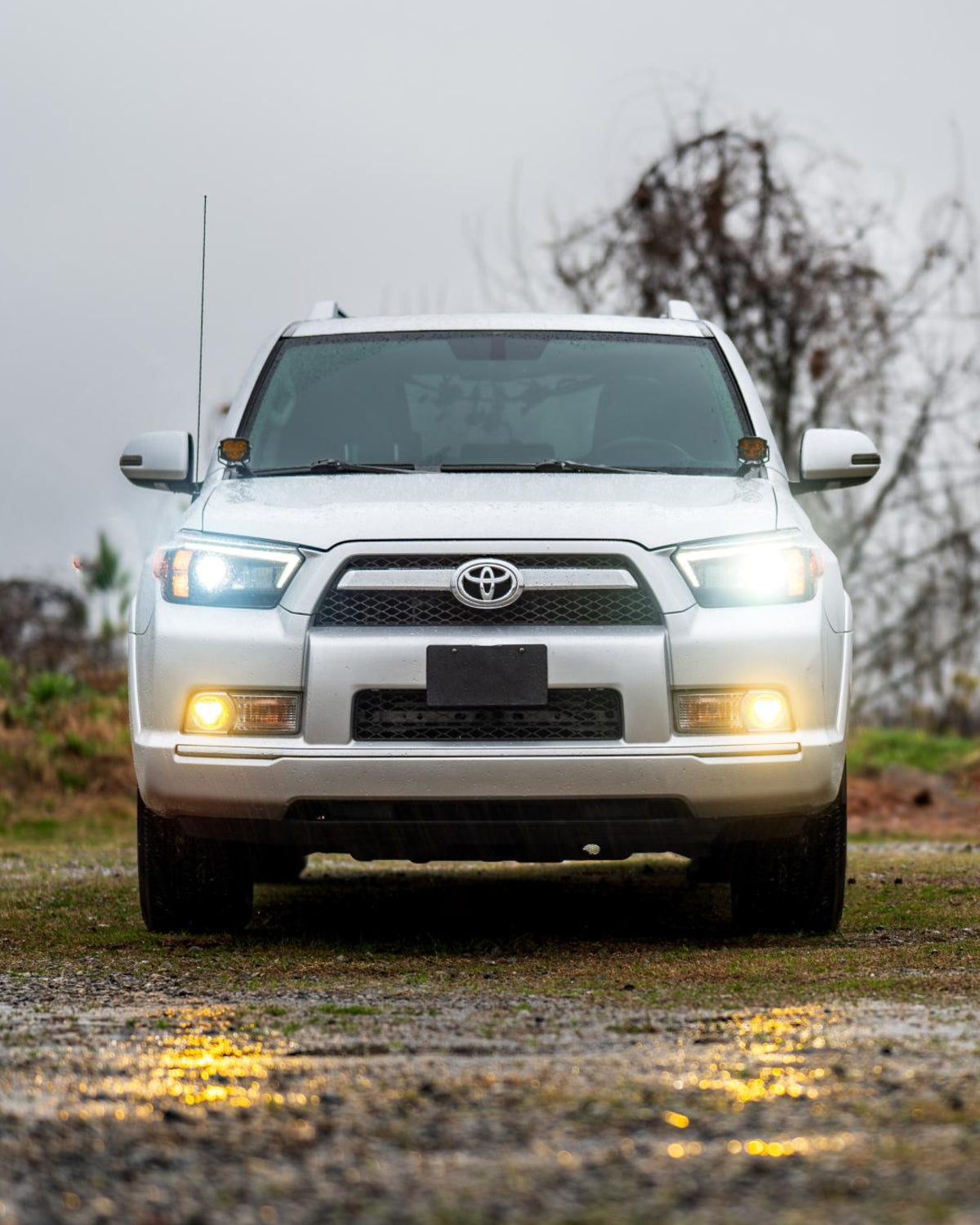 Morimoto 4Banger 2.0 NCS LED Fog Light Kit with SAE Wide Beam Pattern and Yellow Lens for 5th-Gen 4Runner (2010–2024)